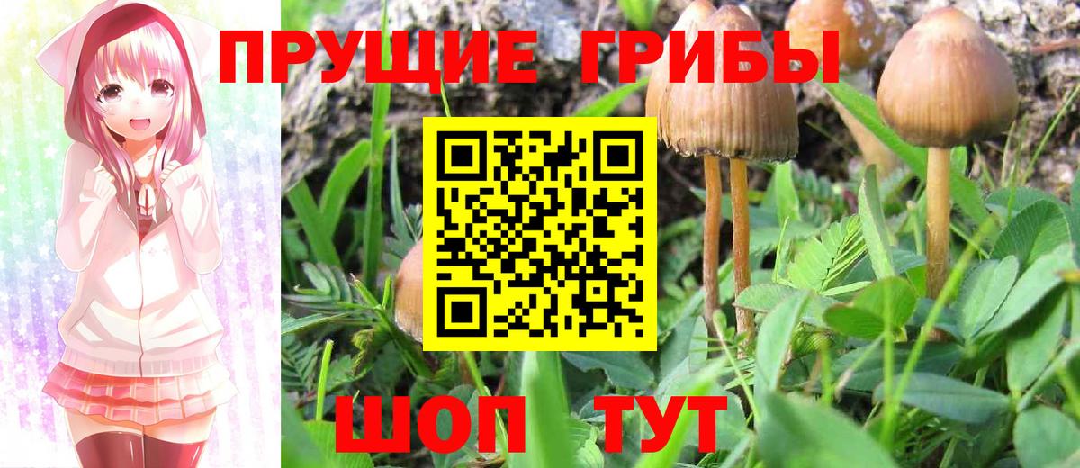 Псилоцибиновые грибы Cubensis  Псилоцибиновые грибы ЛСД  Краснокаменск  Вход с VPN 